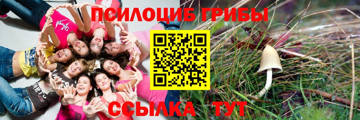 Десногорск  Галлюциногенные грибы Psilocybine cubensis  закладка  Вход с VPN 